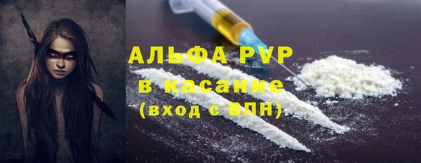 гашик Алексин
