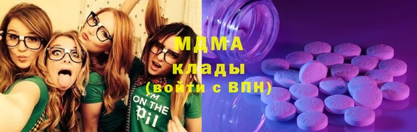 гашик Алексин