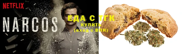 spice Алзамай