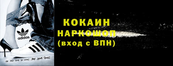 гашик Алексин