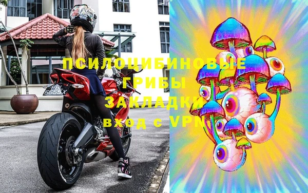 гашик Алексин