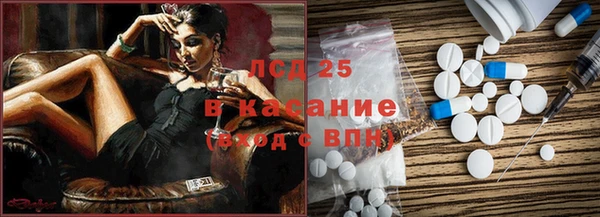 гашик Алексин